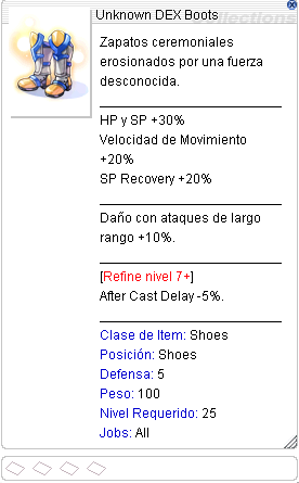 Unknown DEX Boots.png