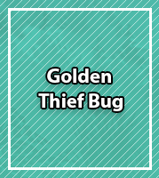 NombreGolden Thief Bug .png