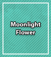NombreMoonlight Flower.png