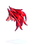 Red fenix wing.PNG